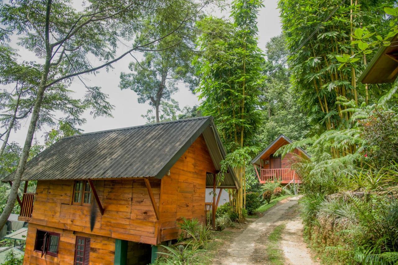 Sinharaja Forest Gate Deniyaya Kültér fotó