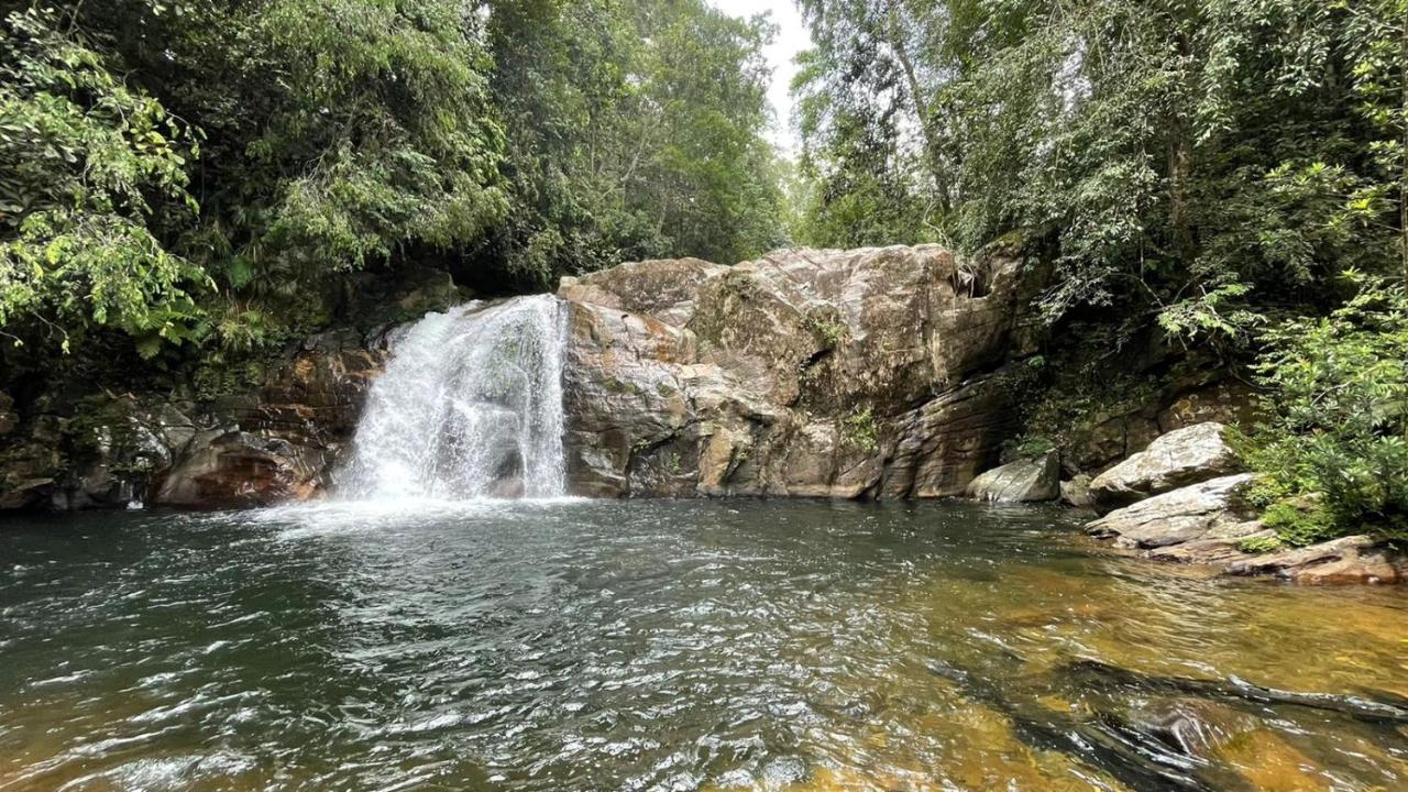 Sinharaja Forest Gate Deniyaya Kültér fotó