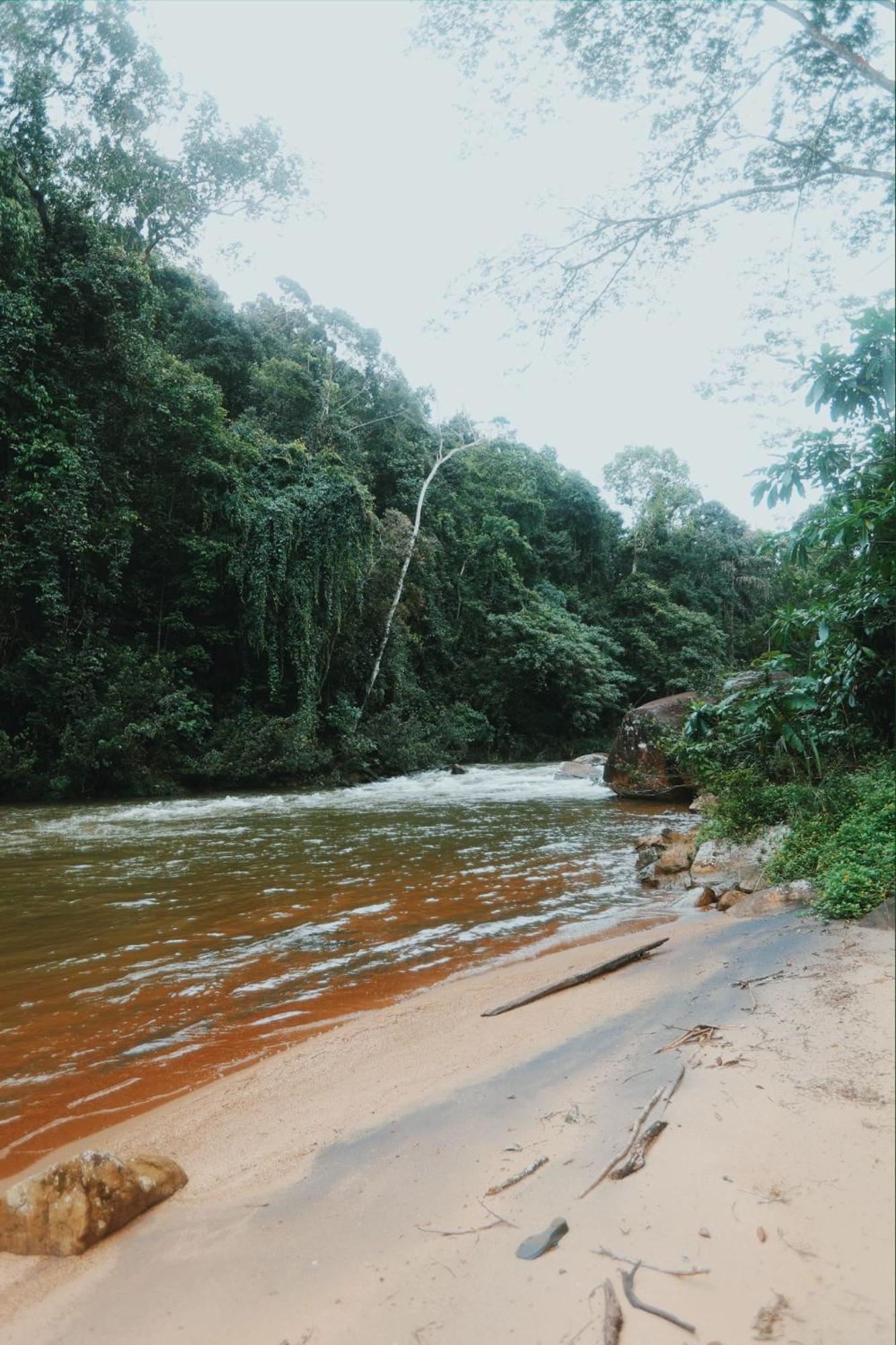 Sinharaja Forest Gate Deniyaya Kültér fotó