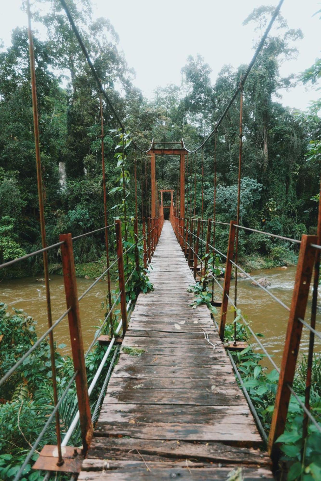 Sinharaja Forest Gate Deniyaya Kültér fotó